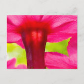 Fröhlich, fröhlich, rosa Blume Postkarte (Vorderseite)