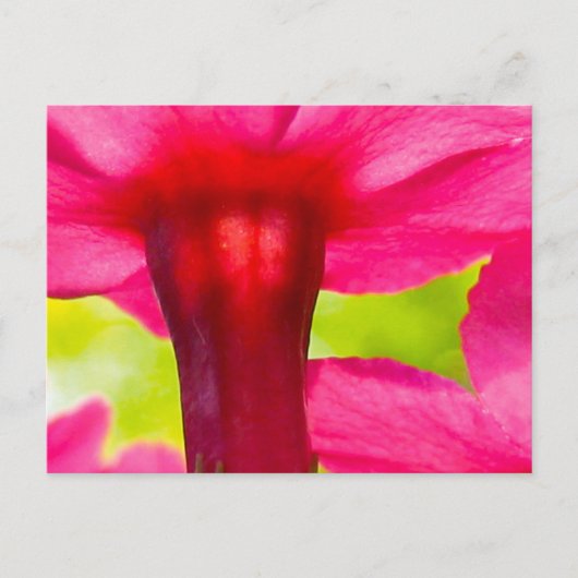 Fröhlich, fröhlich, rosa Blume Postkarte (Vorderseite)