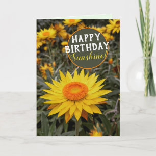 Fröhliche Energie Papier Gänseblume Frohen Geburts Karte