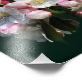 Fröhliche Frühlingskrabappel-Blume blüht 8x10 Fotodruck (Ecke)