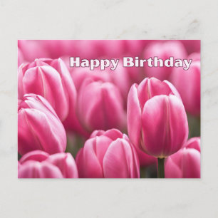 Fröhliche Geburtstags-Tulpen in lebhaftem Rosa Postkarte