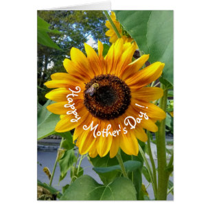 Fröhliche Gelbblüte am Tag der Mutter