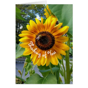 Fröhliche Gelbblüte mit Bienengedanken