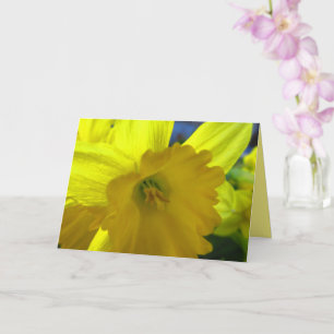 Fröhliche gelbe Narzissen Frühlingsblumen Karte