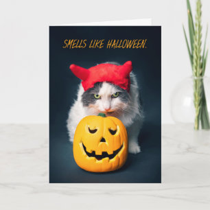 Fröhliche Halloween Katze in Kostümschnaps Pumpkin Feiertagskarte