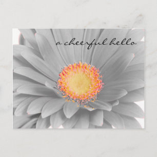 fröhliche "Hello Post Card" Postkarte