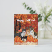Fröhliche Herbstgrüße an alle Katzen und Kürbisse Postkarte (Stehend Vorderseite)