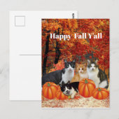 Fröhliche Herbstgrüße an alle Katzen und Kürbisse Postkarte (Vorne/Hinten)
