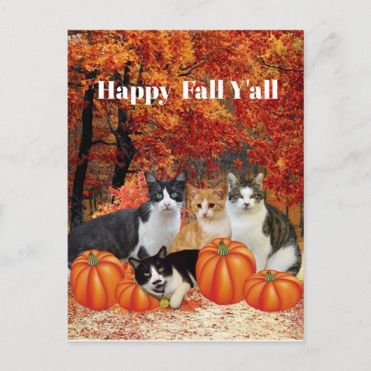 Fröhliche Herbstgrüße an alle Katzen und Kürbisse Postkarte (Vorderseite)