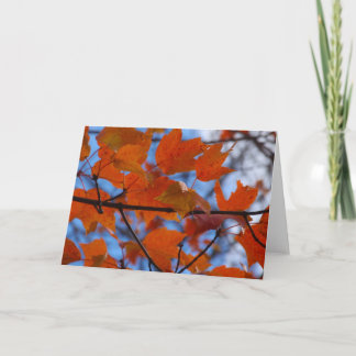 Fröhliche Herbstleere Feiertagskarte