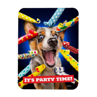 Fröhliche Hundeparty-Tutgeräte Magnet