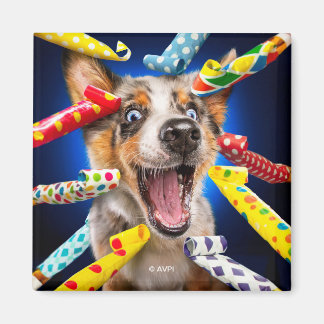Fröhliche Hundeparty-Tutgeräte Magnet