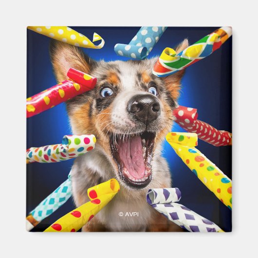 Fröhliche Hundeparty-Tutgeräte Magnet (Vorne)