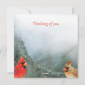 Fröhliche Kardinal Feiertagskarte (Rückseite)