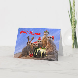 Fröhliche Meerkats Weihnachtskarte Feiertagskarte