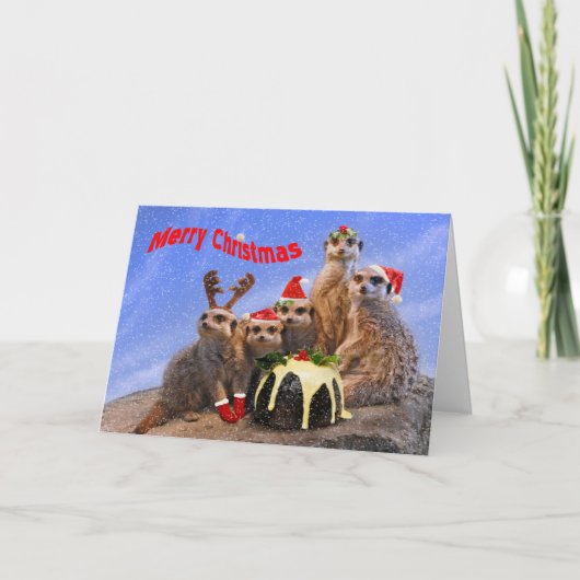 Fröhliche Meerkats Weihnachtskarte Feiertagskarte (Vorderseite)