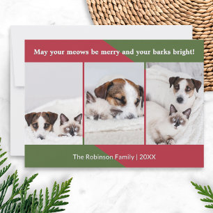 Fröhliche Miau Lustiger Hund Katze Foto Weihnachte Feiertagskarte