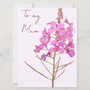 Fröhliche Mutter Tag rosa wilde Blume boho floral Feiertagskarte