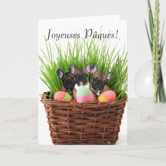 Fröhliche Ostern Easter French bulldogs card Feiertagskarte (Vorderseite)