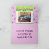 Fröhliche Ostern für einen Katzenliebhaber Feiertagskarte (Innenseite)
