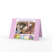 Fröhliche Ostern für einen Katzenliebhaber