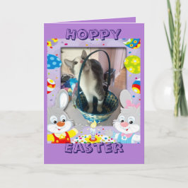 Fröhliche Ostern für einen Katzenliebhaber Feiertagskarte