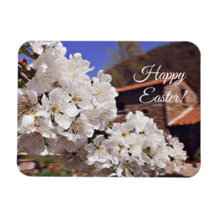 Fröhliche Ostern. Kirschblüte Magnet