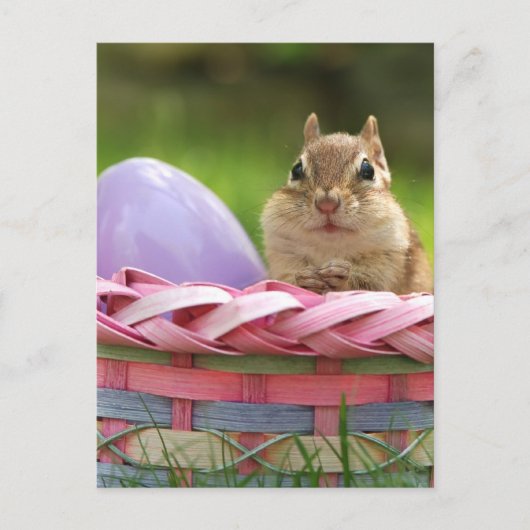 Fröhliche Ostern wenig Chipmunk 2 Feiertagspostkarte (Vorderseite)