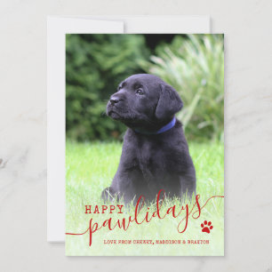 Fröhliche Pawlidays Hundefoto Moderne Weihnachten 