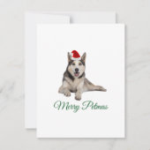 Fröhliche Petmas Weihnachtskarte Feiertagskarte (Vorderseite)