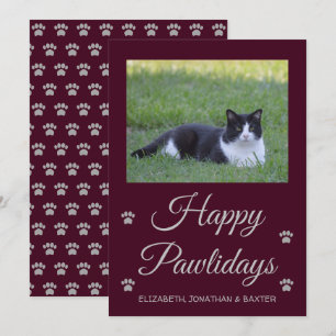 Fröhliche Pfotentage Katzenfoto Weihnachten