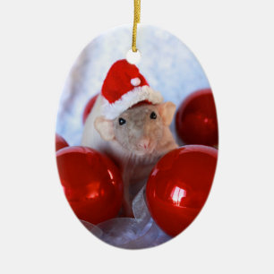 Fröhliche Ratsmas Christmast Verzierung Keramikornament