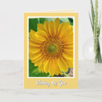 Fröhliche schnelle Erholung