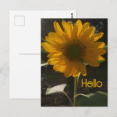 Fröhliche Sonnenblume Postkarte (Vorne/Hinten)