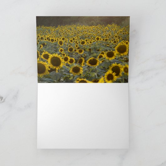 Fröhliche Sonnenblumen (Innenseite)