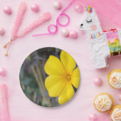 Fröhliche Teller zum Blumenabsatz für Party (Party)