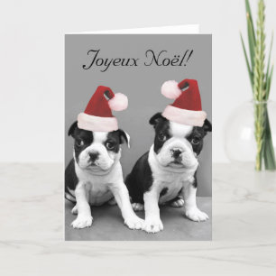 Fröhliche Weihnachten Boston Terriers greeting car