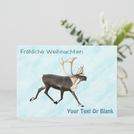 Fröhliche Weihnachten - Karibik (Reindeer) auf Sno (Stehend Vorderseite)