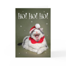 Fröhliche Weihnachten Lustige Katze sagt Ho Ho Ho