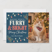 Fröhliche Weihnachten mit Katzen: Making Spirits F (Vorderseite)