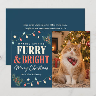 Fröhliche Weihnachten mit Katzen: Making Spirits F