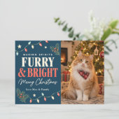 Fröhliche Weihnachten mit Katzen: Making Spirits F (Stehend Vorderseite)