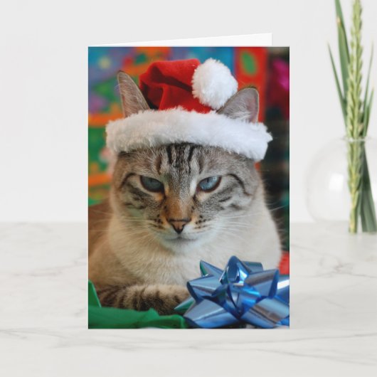 Fröhliche Weihnachten (selbst wenn du unartig bist (Vorderseite)