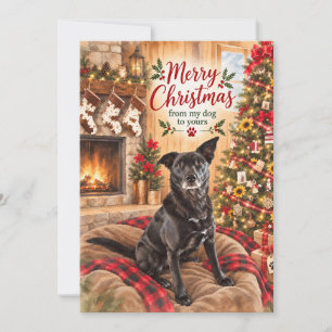 Fröhliche Weihnachten von meinem Hund an deinen