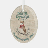 Fröhliche Weihnachtsbeige niedliche Eule grün Ornament Aus Glas (Vorderseite links)