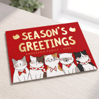 Fröhliche Weihnachtsgrüße Lustige süße Katzen sing