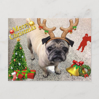 Fröhliche X'mas Postkarte Machi