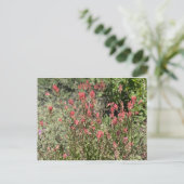 Fröhlicher Juli Postkarte (Stehend Vorderseite)
