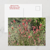 Fröhlicher Juli Postkarte (Vorne/Hinten)