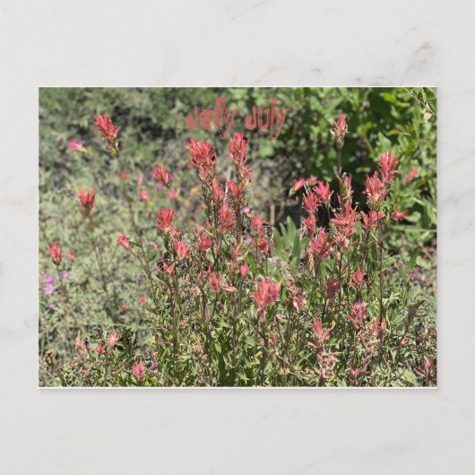 Fröhlicher Juli Postkarte (Vorderseite)